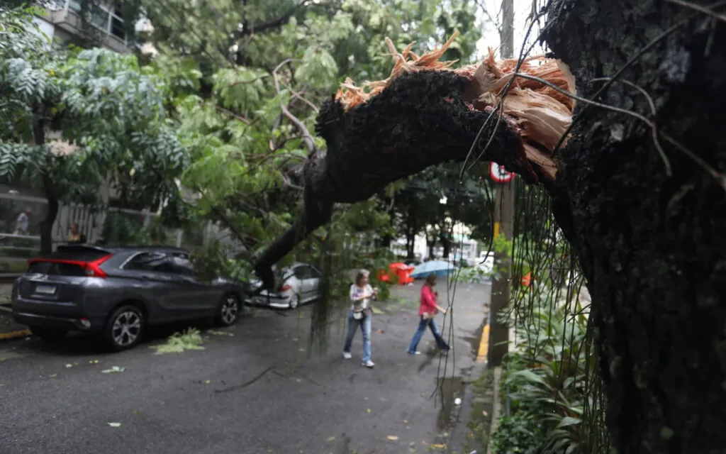 Ventos fortes no Rio exigem atenção; veja como se proteger durante rajadas