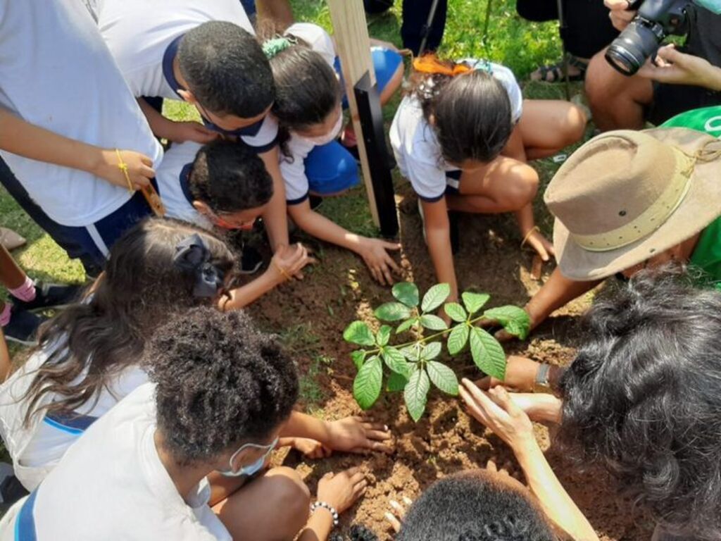 Programa Planta+Rio da prefeitura conta com participação dos moradores para levar mais árvores às ruas da cidade