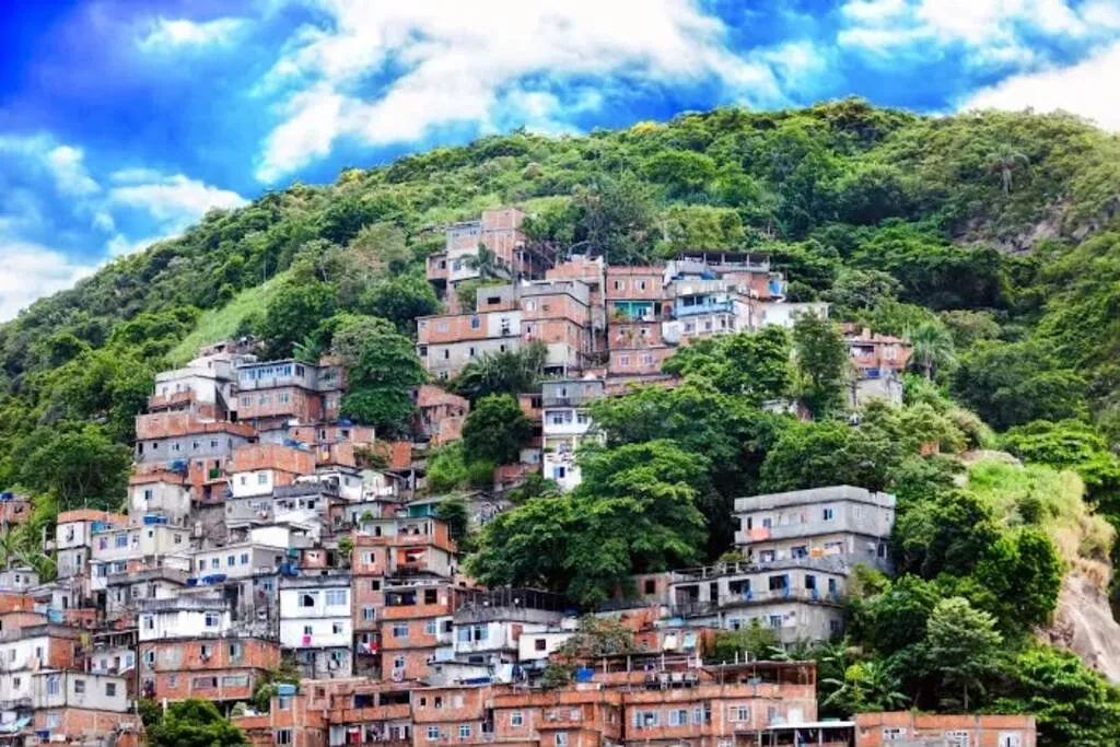 Mais verde nas comunidades: Câmara aprova plano de arborização voltado para as favelas do Rio