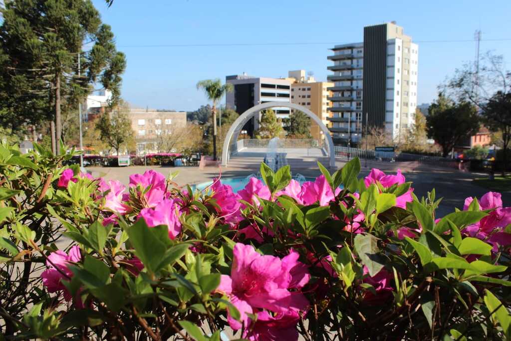 Pesquisa: 34% dos brasileiros desconhecem ações e efeitos das mudanças climáticas e aquecimento global